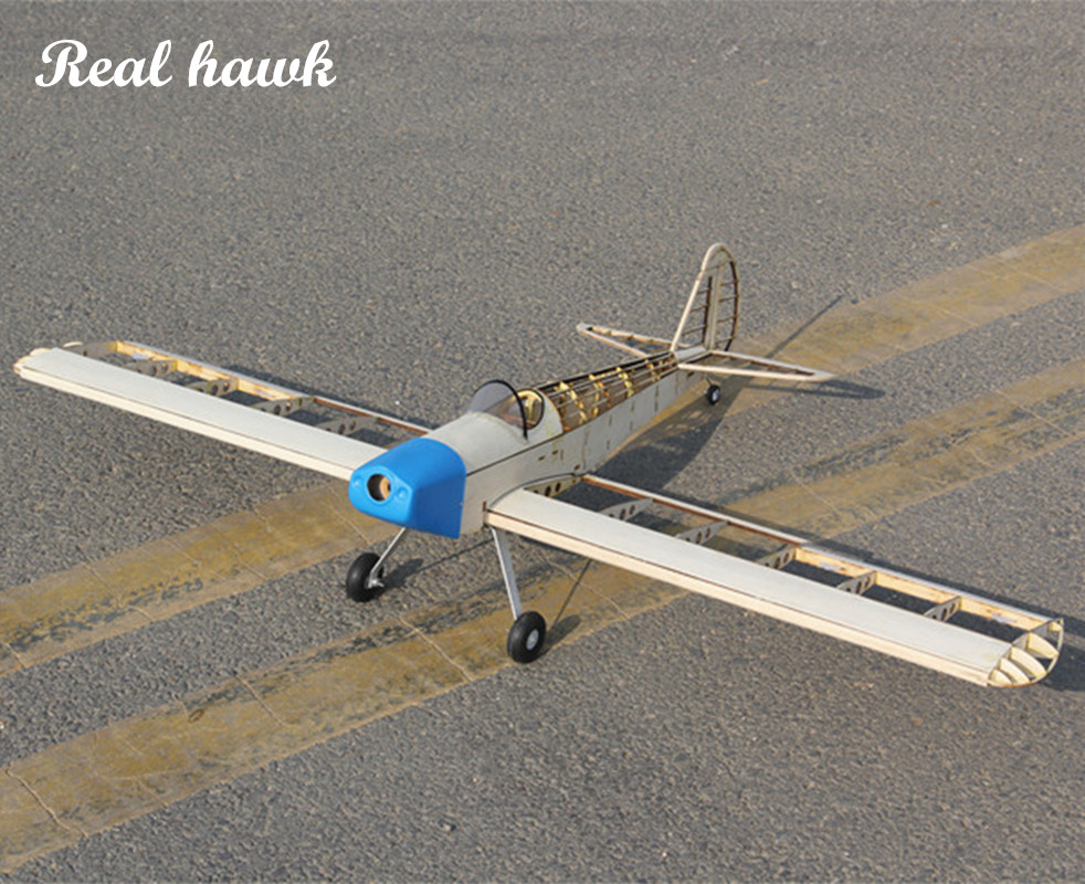 RC AirPlanes Laser Cut Balsa W - Model Kit Airplane ulasan dan harga